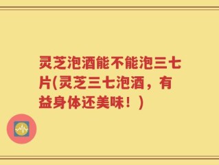 灵芝泡酒能不能泡三七片(灵芝三七泡酒，有益身体还美味！)