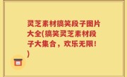 灵芝素材搞笑段子图片大全(搞笑灵芝素材段子大集合，欢乐无限！)
