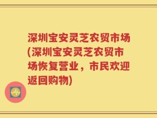深圳宝安灵芝农贸市场(深圳宝安灵芝农贸市场恢复营业，市民欢迎返回购物)