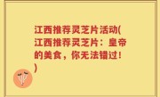江西推荐灵芝片活动(江西推荐灵芝片：皇帝的美食，你无法错过！)