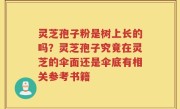 灵芝孢子粉是树上长的吗？灵芝孢子究竟在灵芝的伞面还是伞底有相关参考书籍