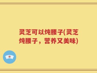 灵芝可以炖腰子(灵芝炖腰子，营养又美味)