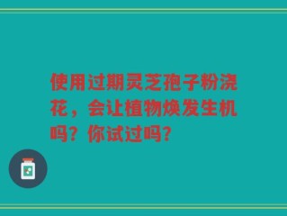 使用过期灵芝孢子粉浇花，会让植物焕发生机吗？你试过吗？