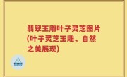 翡翠玉雕叶子灵芝图片(叶子灵芝玉雕，自然之美展现)