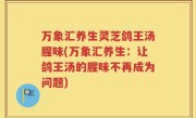 万象汇养生灵芝鸽王汤腥味(万象汇养生：让鸽王汤的腥味不再成为问题)