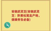 安徽武灵芝(安徽武灵芝：黔黑松茸出产地，健康养生必备)