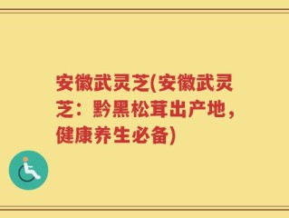 安徽武灵芝(安徽武灵芝：黔黑松茸出产地，健康养生必备)