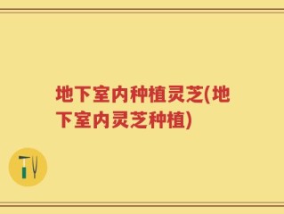 地下室内种植灵芝(地下室内灵芝种植)