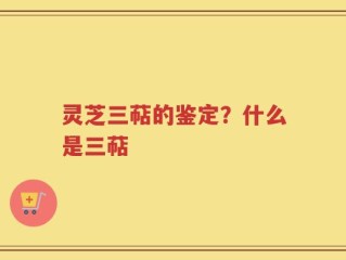 灵芝三萜的鉴定？什么是三萜