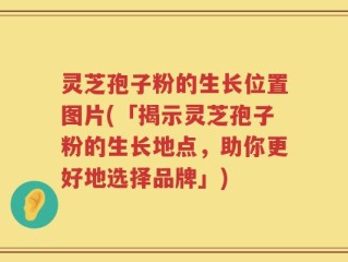 灵芝孢子粉的生长位置图片(「揭示灵芝孢子粉的生长地点，助你更好地选择品牌」)