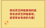 探访灵芝种植基地的感受走进灵芝种植基地，感受草本奇迹的力量)