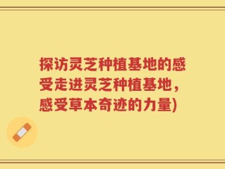 探访灵芝种植基地的感受走进灵芝种植基地，感受草本奇迹的力量)