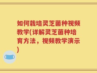 如何栽培灵芝菌种视频教学(详解灵芝菌种培育方法，视频教学演示)