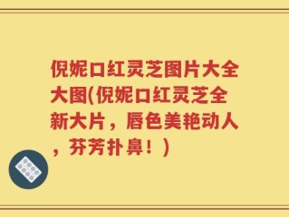 倪妮口红灵芝图片大全大图(倪妮口红灵芝全新大片，唇色美艳动人，芬芳扑鼻！)