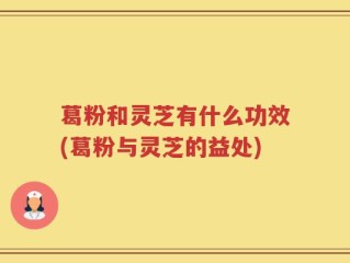 葛粉和灵芝有什么功效(葛粉与灵芝的益处)