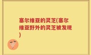 塞尔维亚的灵芝(塞尔维亚野外的灵芝被发现)
