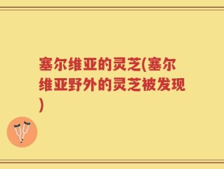 塞尔维亚的灵芝(塞尔维亚野外的灵芝被发现)