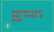 天意灵芝孢子(天意灵芝孢子：自然之源，健康之道)