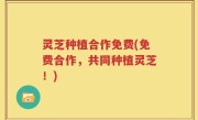 灵芝种植合作免费(免费合作，共同种植灵芝！)
