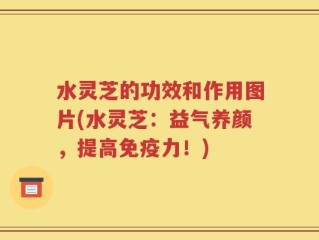 水灵芝的功效和作用图片(水灵芝：益气养颜，提高免疫力！)