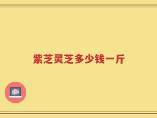 紫芝灵芝多少钱一斤