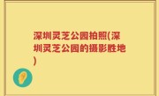 深圳灵芝公园拍照(深圳灵芝公园的摄影胜地)