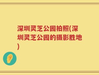 深圳灵芝公园拍照(深圳灵芝公园的摄影胜地)