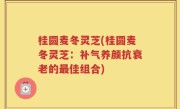 桂圆麦冬灵芝(桂圆麦冬灵芝：补气养颜抗衰老的最佳组合)