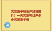 灵芝孢子粉生产过程图片？一只灵芝可以产多少灵芝孢子粉
