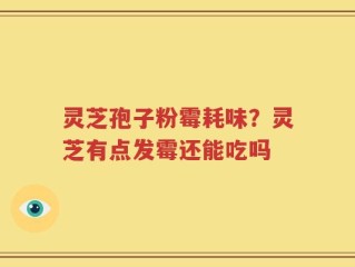 灵芝孢子粉霉耗味？灵芝有点发霉还能吃吗