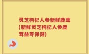 灵芝枸杞人参新鲜鹿茸(新鲜灵芝枸杞人参鹿茸益寿保健)