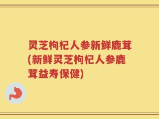 灵芝枸杞人参新鲜鹿茸(新鲜灵芝枸杞人参鹿茸益寿保健)