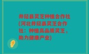 井陉县灵芝种植合作社(河北井陉县灵芝合作社：种植高品质灵芝，助力健康产业)