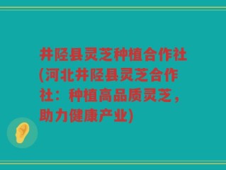 井陉县灵芝种植合作社(河北井陉县灵芝合作社：种植高品质灵芝，助力健康产业)