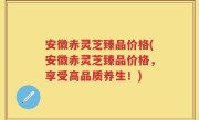 安徽赤灵芝臻品价格(安徽赤灵芝臻品价格，享受高品质养生！)