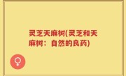 灵芝天麻树(灵芝和天麻树：自然的良药)