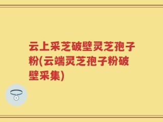 云上采芝破壁灵芝孢子粉(云端灵芝孢子粉破壁采集)