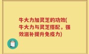 牛大力加灵芝的功效(牛大力与灵芝搭配，强效滋补提升免疫力)