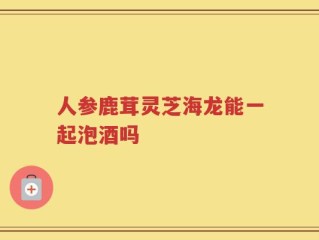人参鹿茸灵芝海龙能一起泡酒吗