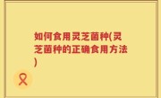 如何食用灵芝菌种(灵芝菌种的正确食用方法)