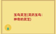 玉鸟灵芝(灵药玉鸟：神奇的灵芝)