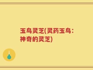 玉鸟灵芝(灵药玉鸟：神奇的灵芝)