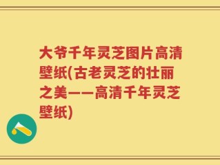 大爷千年灵芝图片高清壁纸(古老灵芝的壮丽之美——高清千年灵芝壁纸)