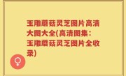 玉雕蘑菇灵芝图片高清大图大全(高清图集：玉雕蘑菇灵芝图片全收录)