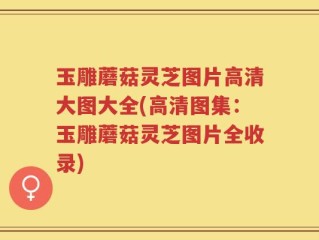 玉雕蘑菇灵芝图片高清大图大全(高清图集：玉雕蘑菇灵芝图片全收录)
