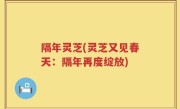 隔年灵芝(灵芝又见春天：隔年再度绽放)
