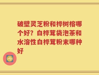 破壁灵芝粉和桦树榕哪个好？白桦茸袋泡茶和水溶性白桦茸粉末哪种好