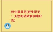 野生菌灵芝(野生灵芝：天然的功效和健康好处)