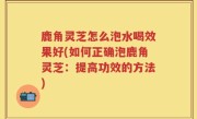 鹿角灵芝怎么泡水喝效果好(如何正确泡鹿角灵芝：提高功效的方法)