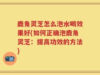 鹿角灵芝怎么泡水喝效果好(如何正确泡鹿角灵芝：提高功效的方法)